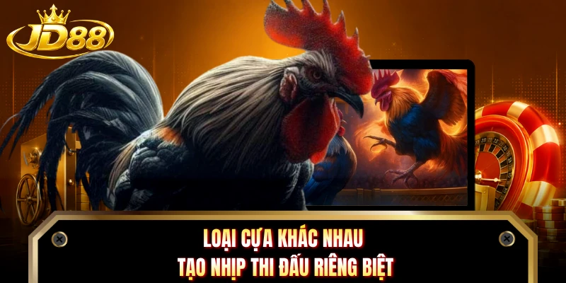 Loại cựa khác nhau tạo nhịp thi đấu riêng biệt