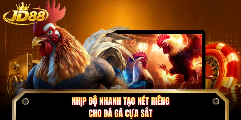 Nhịp độ nhanh tạo nét riêng cho đá gà cựa sắt